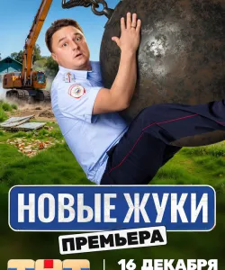 Жуки